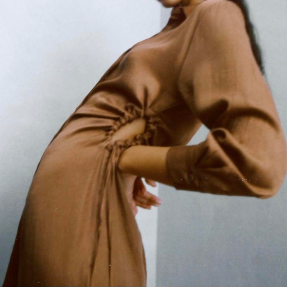 Brown ZARA Mini Dress